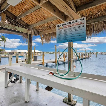 St Kitts - Downtown Waterfront Penthouse Pool Dock Parking Villa Key West Exterior foto